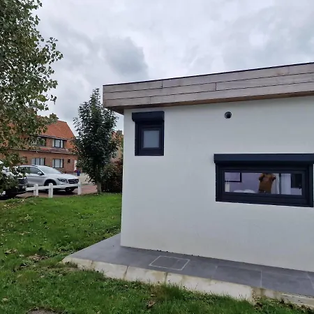 - Grote Zeemeeuwen