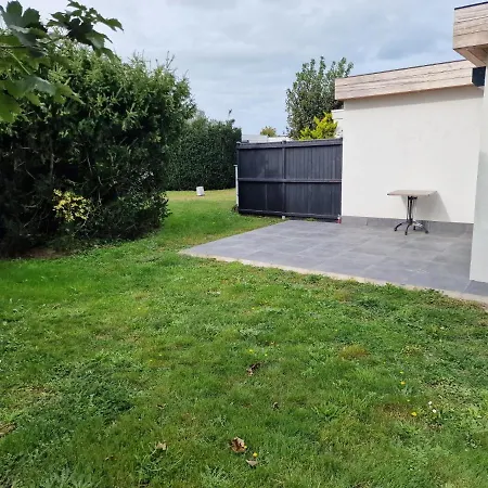 - Grote Zeemeeuwen Holiday home