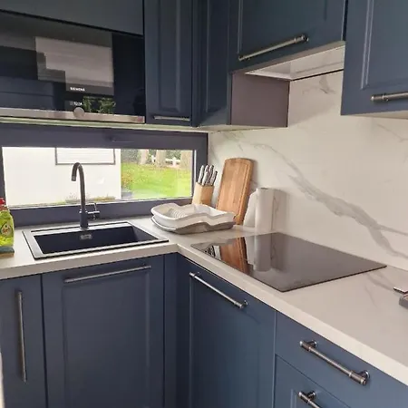 - Grote Zeemeeuwen Holiday home